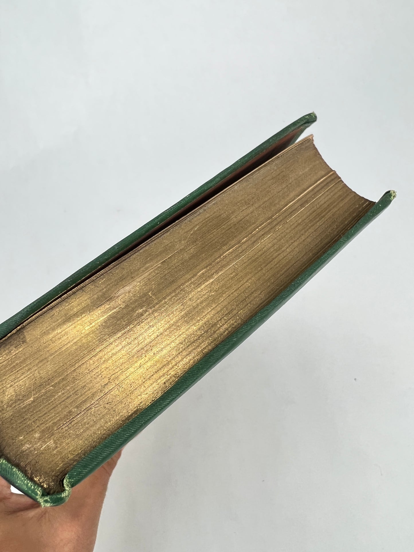 The Complete Poetical Works of Robert Burns 1880 Excelsior Edition AMERICAN NEWS CO
