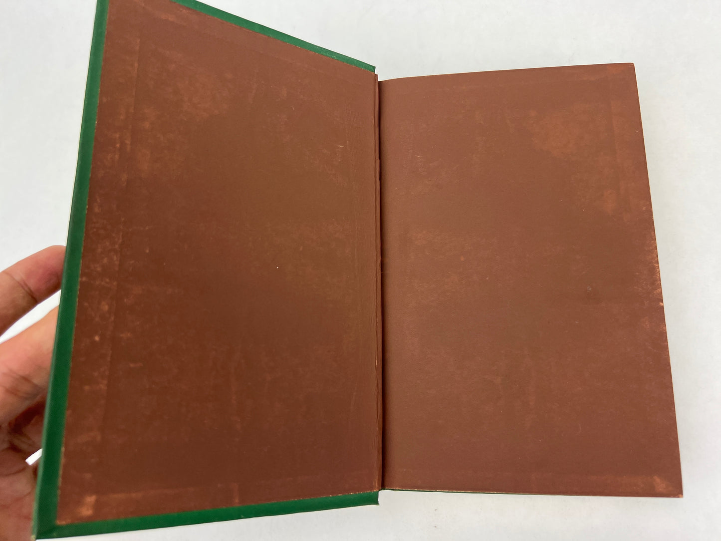 The Complete Poetical Works of Robert Burns 1880 Excelsior Edition AMERICAN NEWS CO