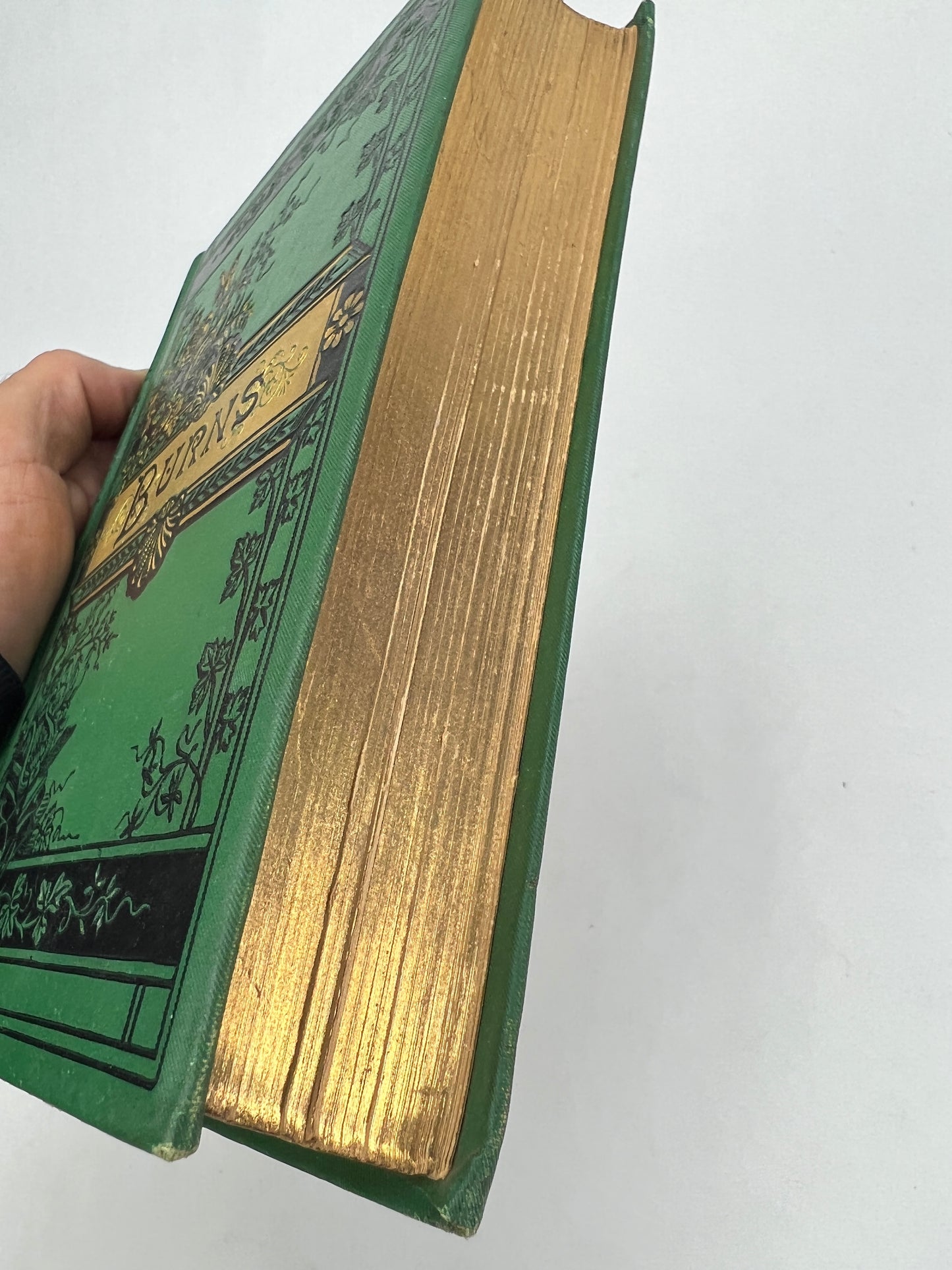 The Complete Poetical Works of Robert Burns 1880 Excelsior Edition AMERICAN NEWS CO
