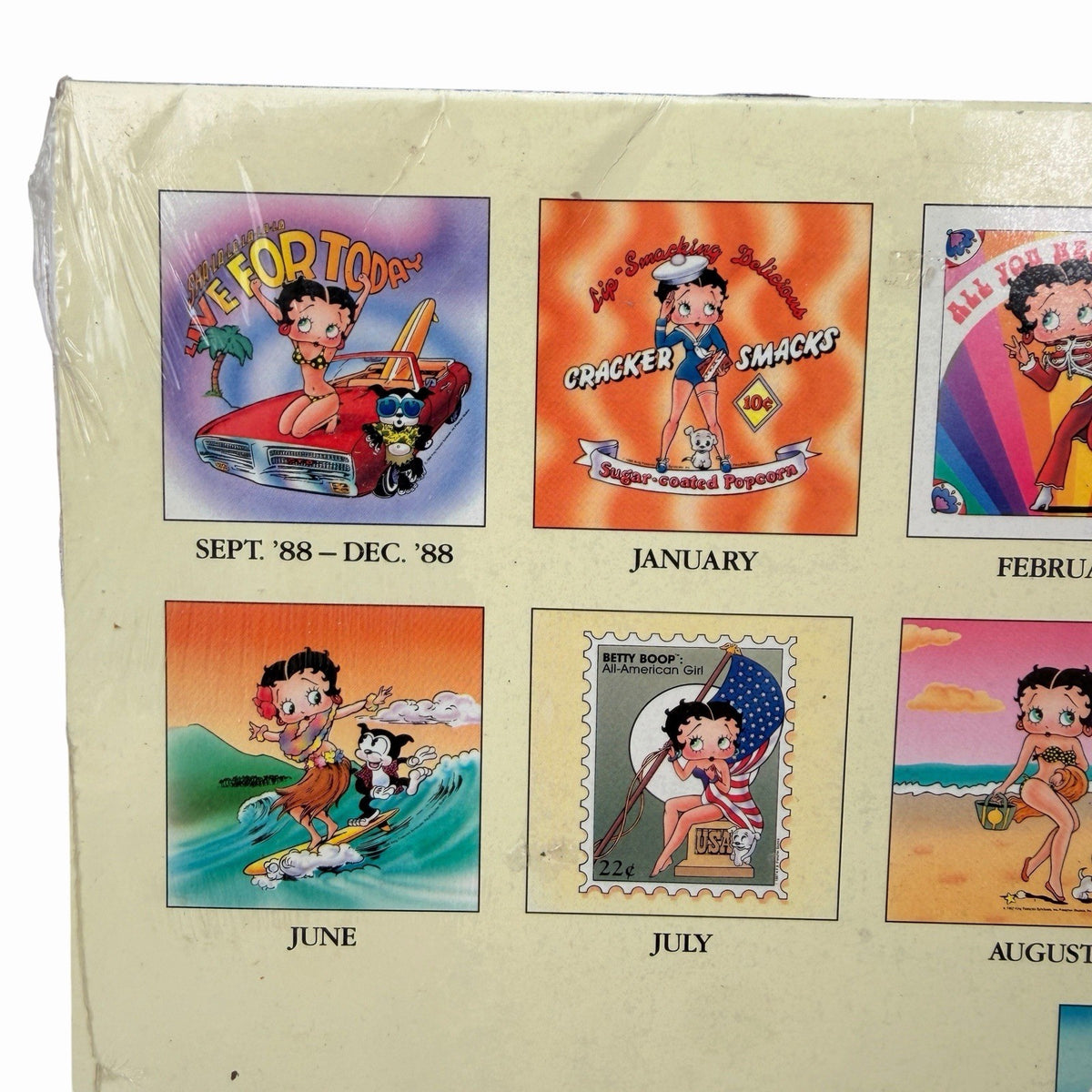 Vintage Sealed BETTY BOOP 1989 Calendar 16 Month 1988 Wall Art