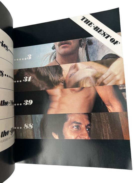 BEST OF PLAYGIRL Magazine #1 1974 PETER LUPUS Poster! LYLE WAGGONER Ho ...