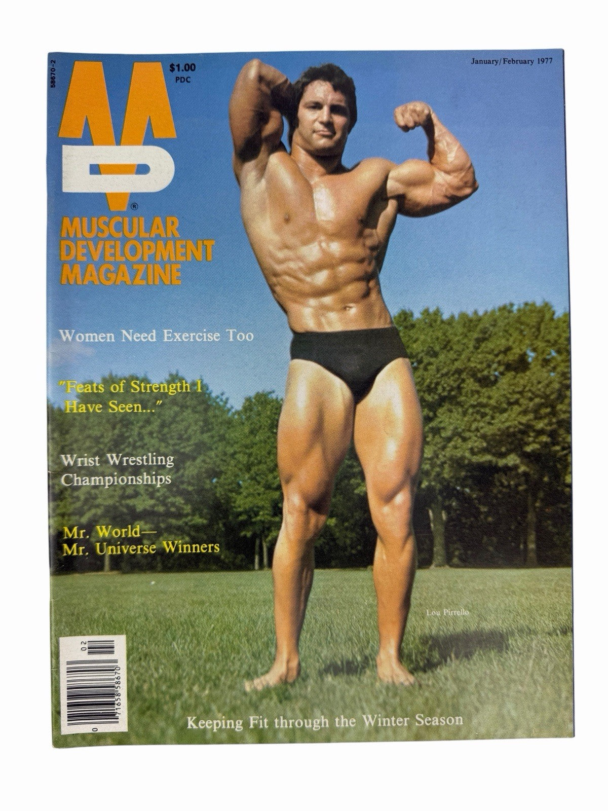Lot of 16 MUSCULAR DEVELOPMENT Magazine Issues 1976-1980 Bodybuilding Fitness