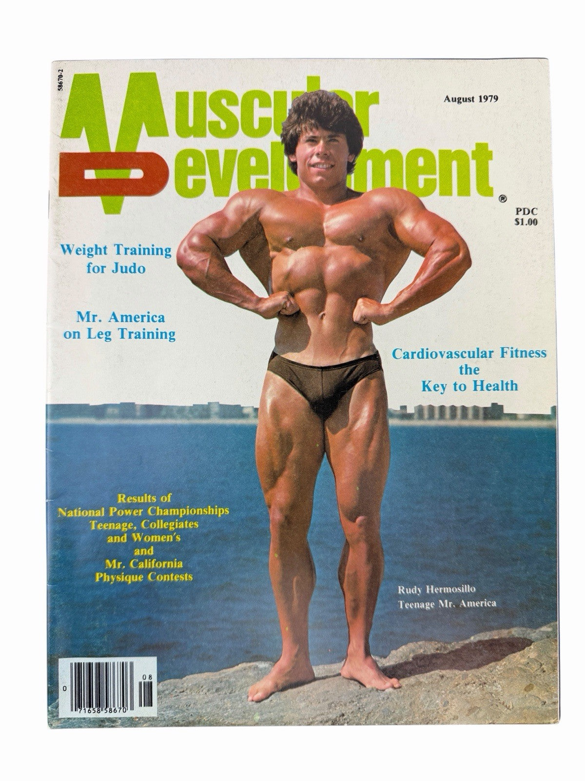 Lot of 16 MUSCULAR DEVELOPMENT Magazine Issues 1976-1980 Bodybuilding Fitness