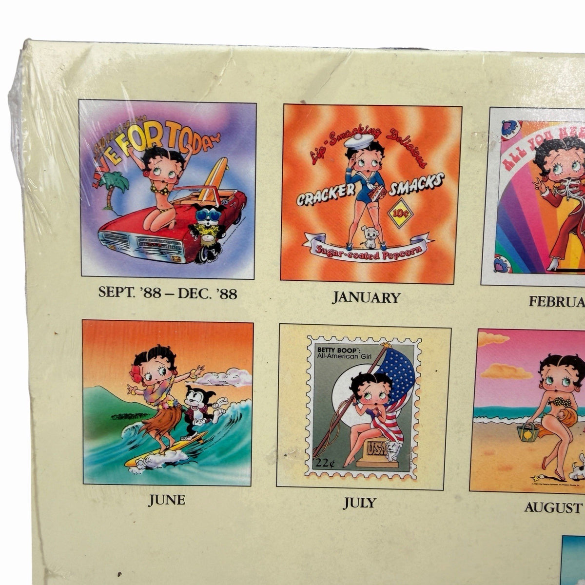 Vintage Sealed BETTY BOOP 1989 Calendar 16 Month 1988 Wall Art