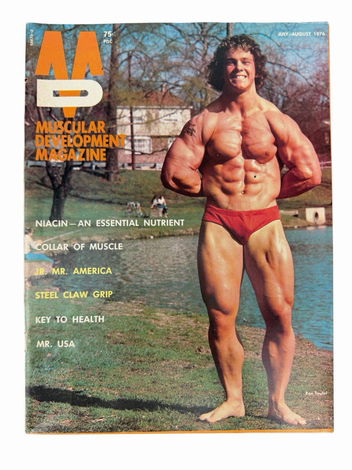 Lot of 16 MUSCULAR DEVELOPMENT Magazine Issues 1976-1980 Bodybuilding Fitness