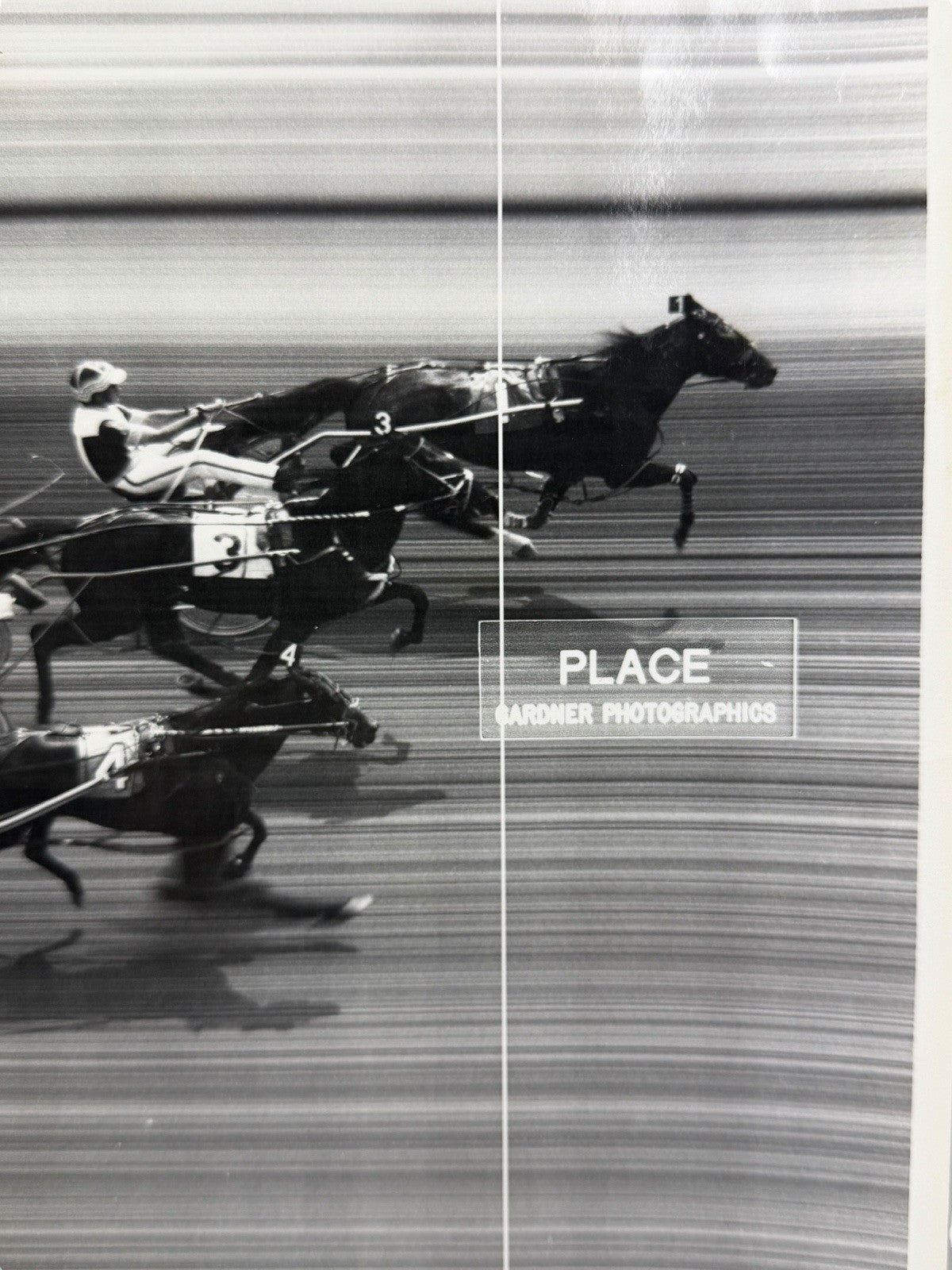 Vintage FREEHOLD RACEWAY Harness Horse Racing PLACE PHOTO May 11, 1993 NJ