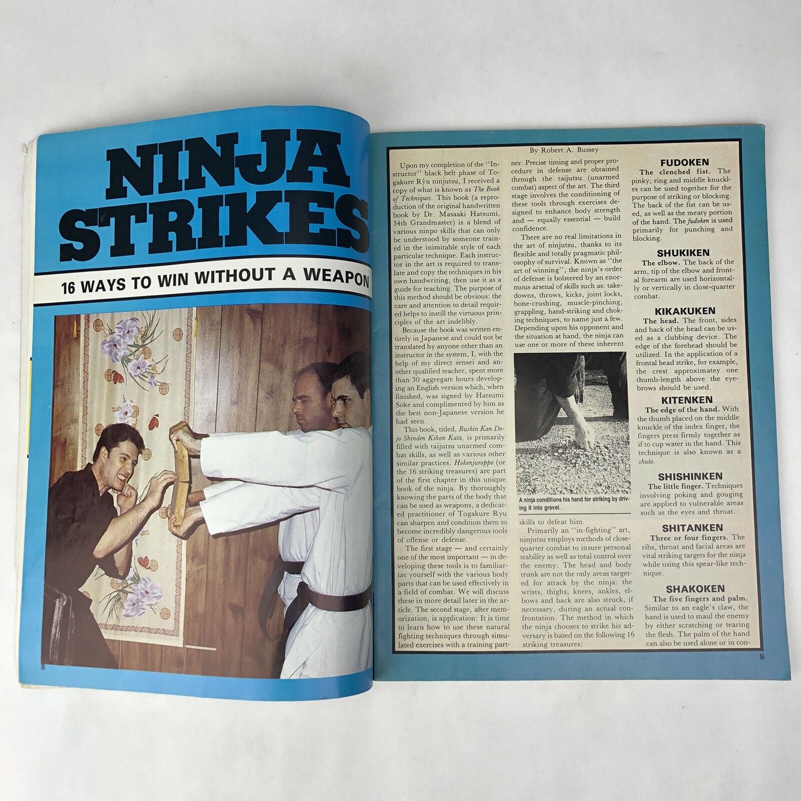 Original Vintage NINJA Magazine August 1985 #8 W/ Centerfold