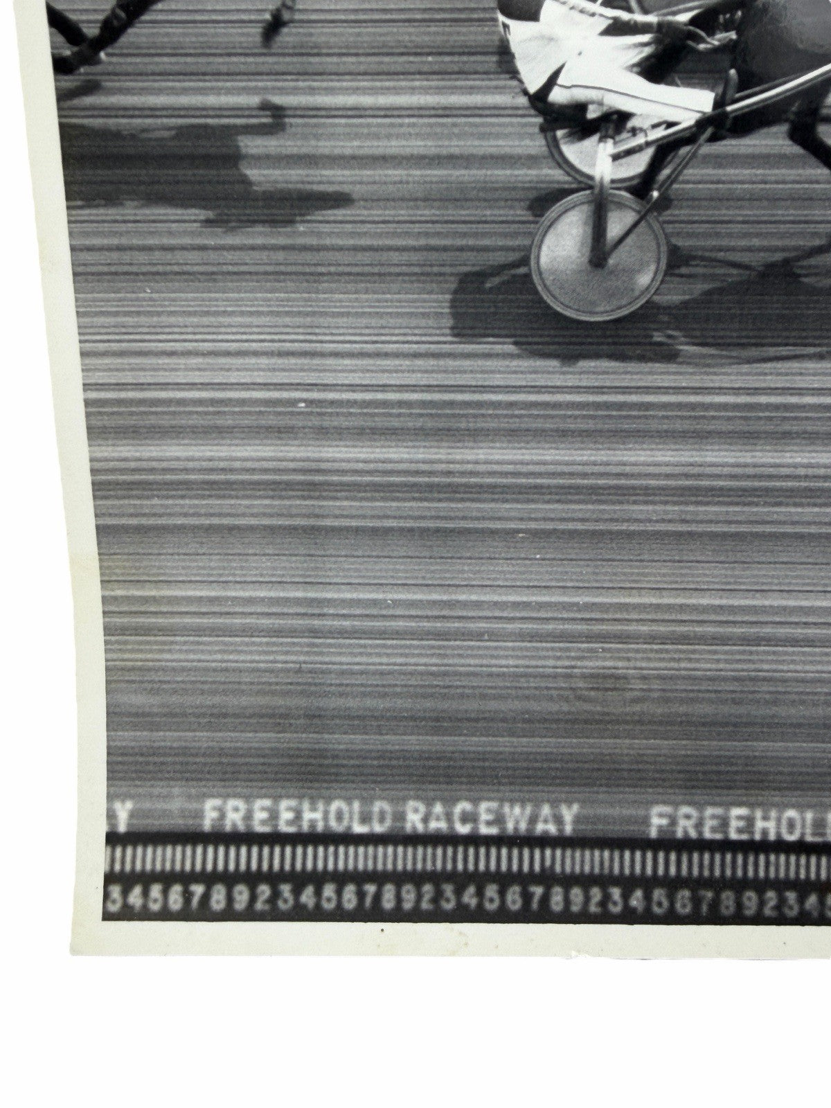 Vintage FREEHOLD RACEWAY Harness Horse Racing PLACE PHOTO May 11, 1993 NJ