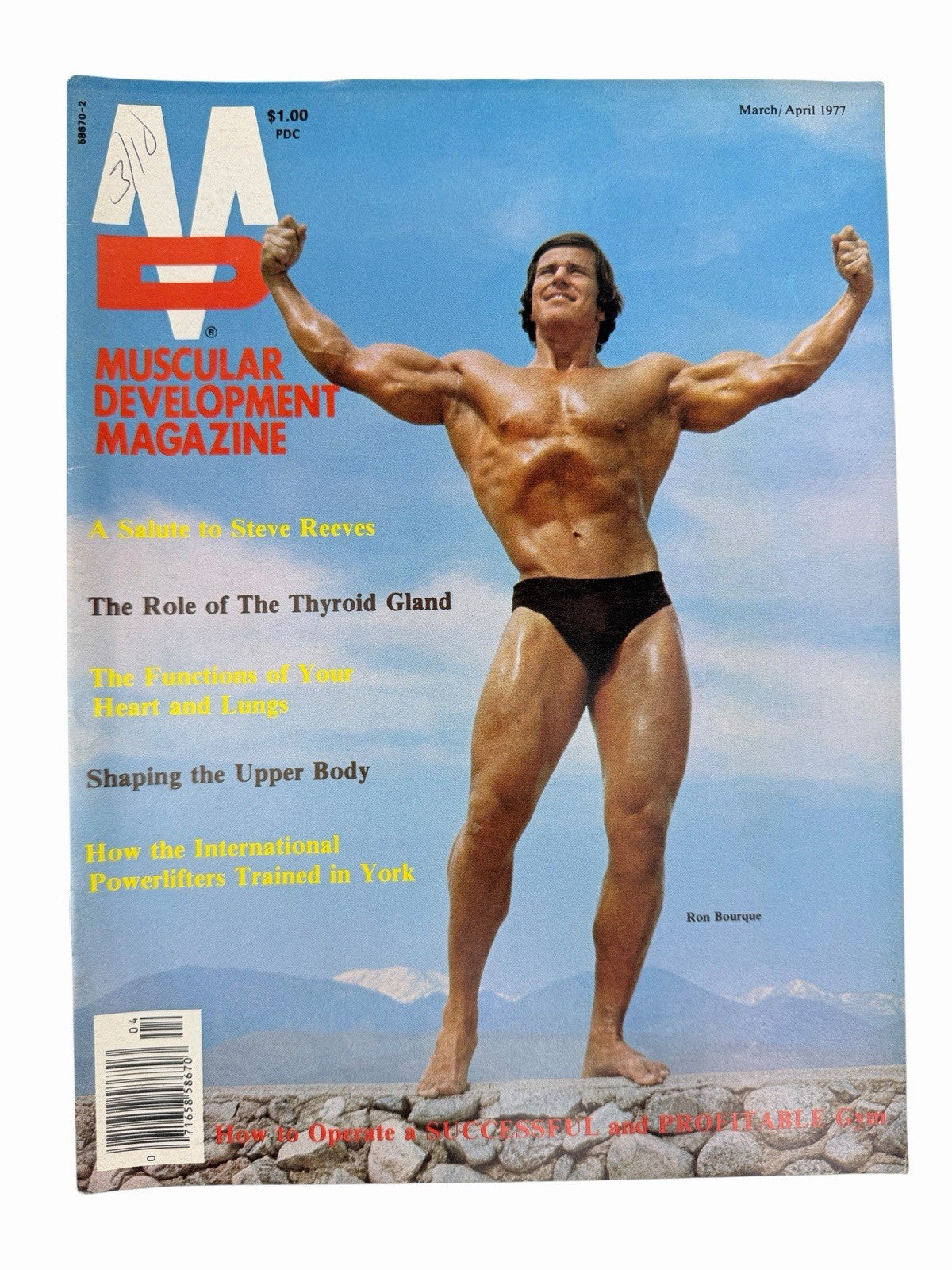 Lot of 16 MUSCULAR DEVELOPMENT Magazine Issues 1976-1980 Bodybuilding Fitness