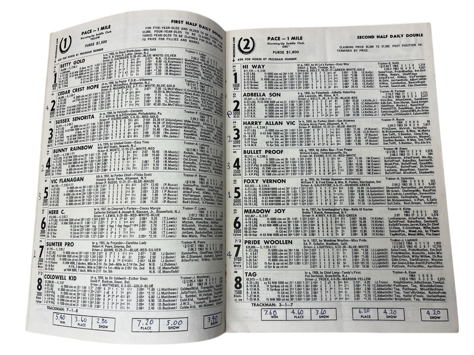 Vintage 1964 LIBERTY BELL PARK Harness Horse Racing 2 PROGRAMS 8th & 20th Nights