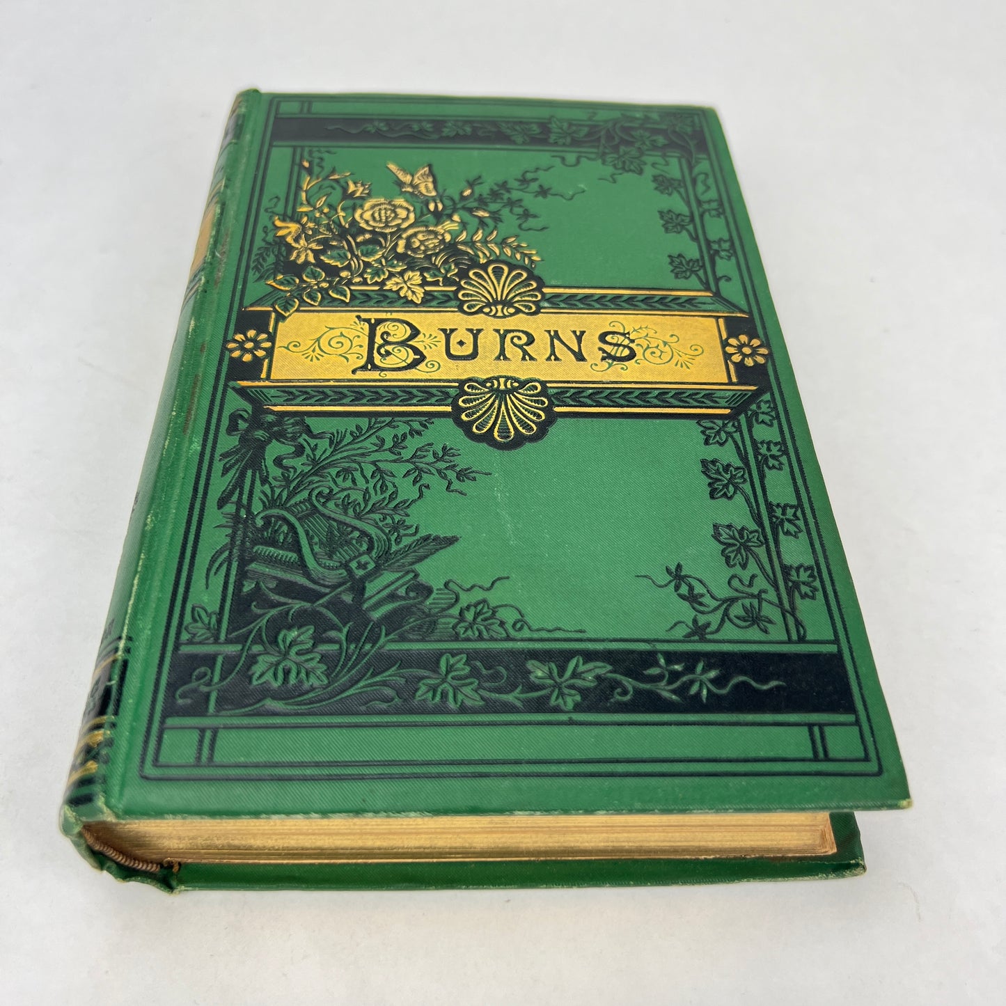 The Complete Poetical Works of Robert Burns 1880 Excelsior Edition AMERICAN NEWS CO